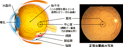 20110725①.GIF