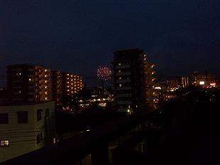 20110811①.JPG