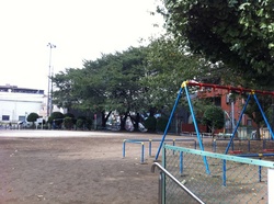 20110917③公園.JPG