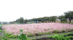 20111022星野ブログ２.JPG