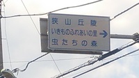 虫の森看板.JPG