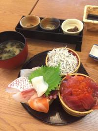 2016.8.26shiki-blog6.jpg