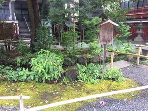 20180722本山6.JPG