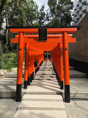 2018.823torii2.jpg