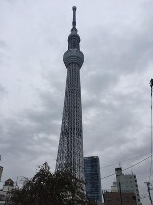 20181105岩沢1.JPG