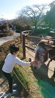 20190106溝口⑤.JPG