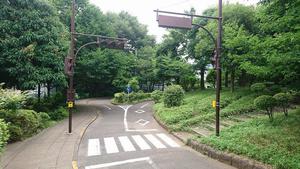 20190711小村6.jpg