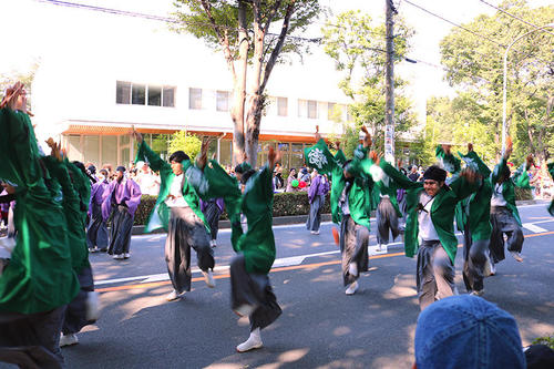 saikasai2019-02.jpg