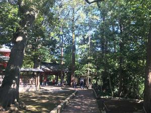 20190930渡部氷川神社4_R.JPG