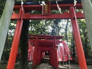 20190930渡部稲荷神社IN氷川神社_R.JPG