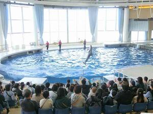 水族館 (4).jpg