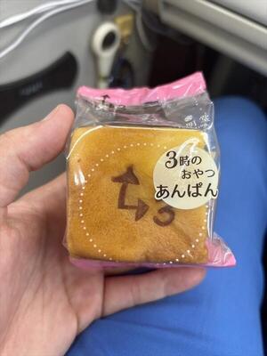 写真７.JPG