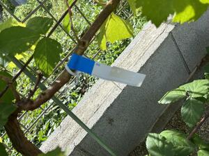IMG_5175.JPG