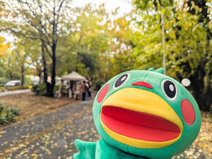 asaka_street_terrace2025-4