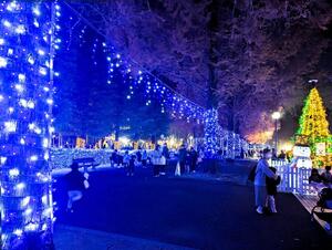 asaka-illumination-13.jpg